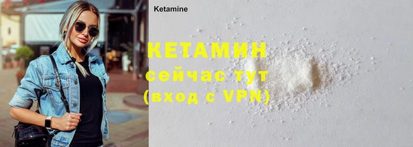 стаф Вяземский