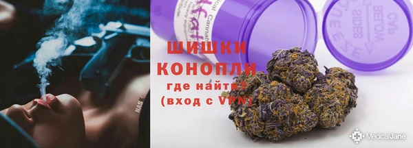 стаф Вяземский