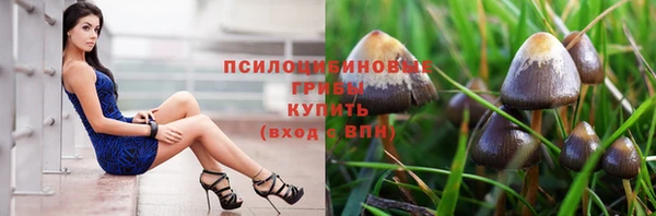 стаф Вяземский