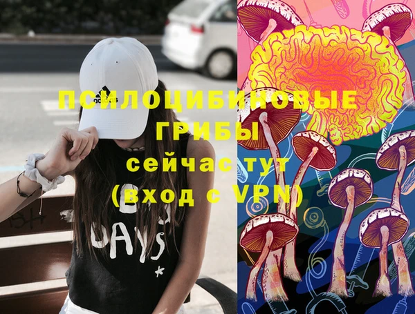 тгк Волоколамск